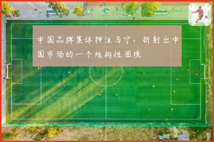 中国品牌集体押注马宁，折射出中国市场的一个结构性困境